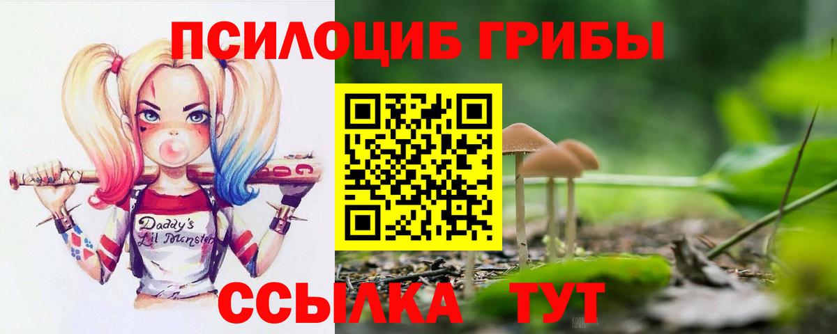 Чебоксары  Псилоцибиновые грибы прущие грибы  Галлюциногенные грибы GOLDEN TEACHER  Вход с VPN 